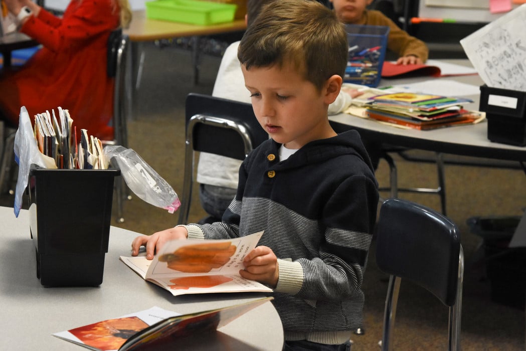 Student reading