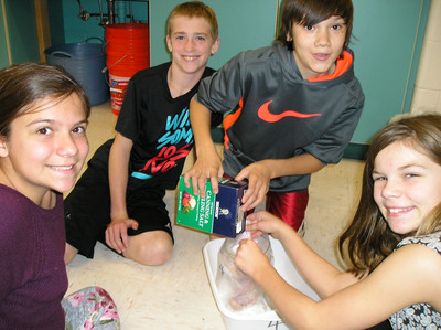 Chickens Part 1 - Photo Number 9