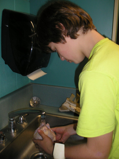 Chickens Part 1 - Photo Number 1