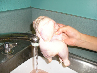 Chickens Part 1 - Photo Number 2