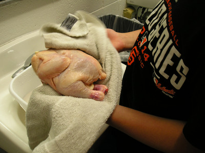 Chickens Part 1 - Photo Number 3