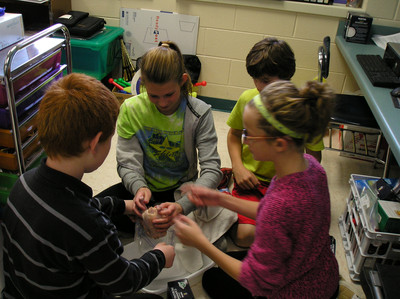 Chickens Part 1 - Photo Number 6