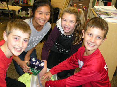 Chickens Part 1 - Photo Number 7